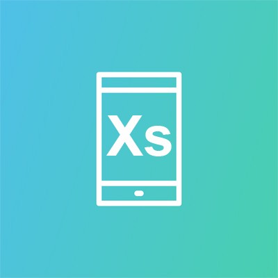 iPhone Xs Displayaustausch